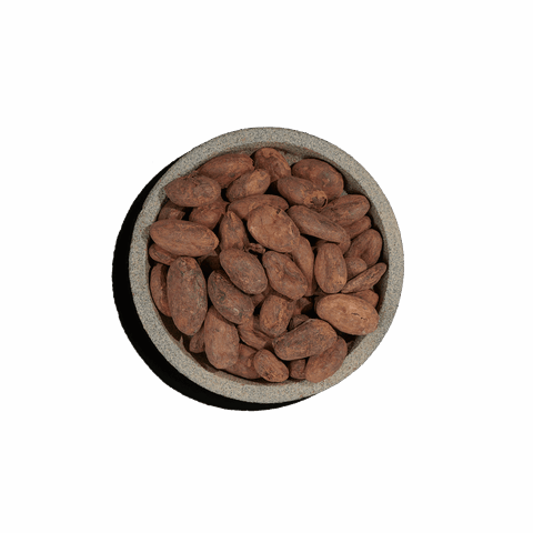 Cacao beans ωμά ΒΙΟ