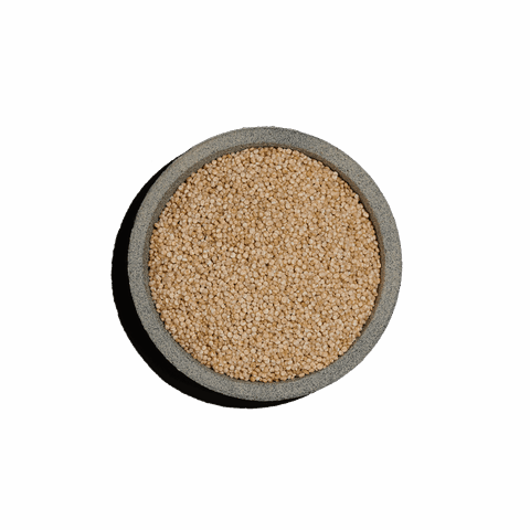 Κινόα λευκή