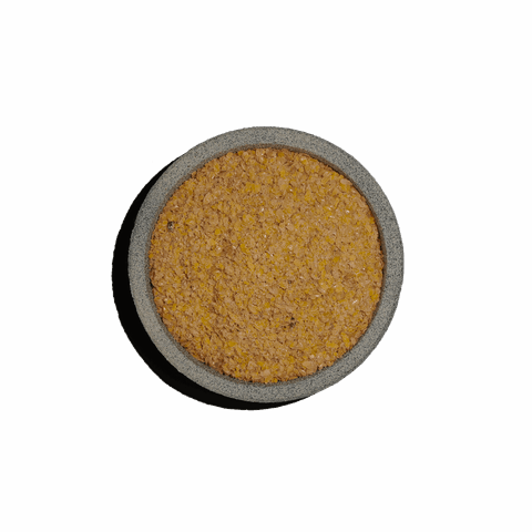 Λιναρόσπορος χρυσός κοπανιστός