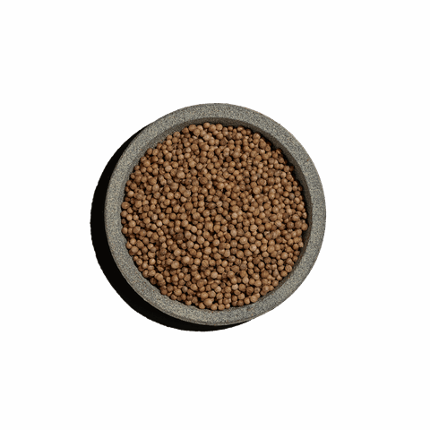 Κόλιανδρο ολόκληρο