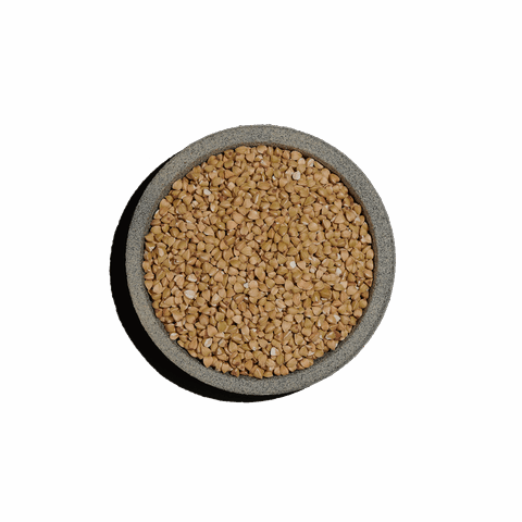 Φαγόπυρο ή Μαυροσίταρο πράσινο