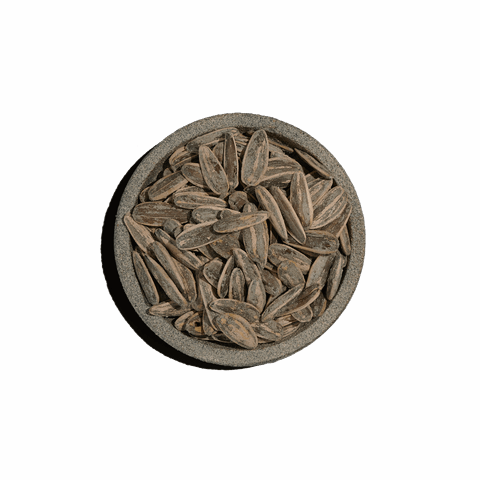 Ηλιόσπορος ψημένος με αλάτι