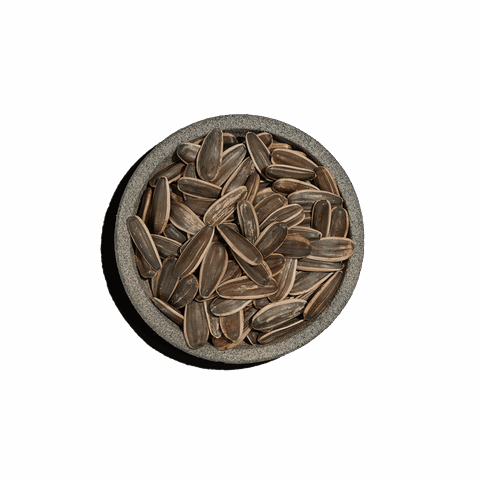 Ηλιόσπορος ψημένος χωρίς αλάτι