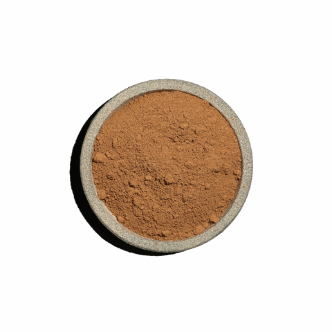 Γανόδερμα τριμμένο