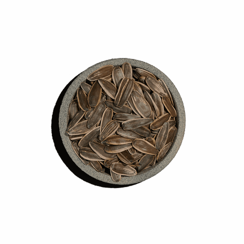 Ηλιόσπορος ωμός