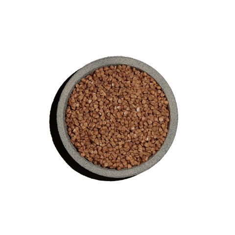 Φαγόπυρο ή Μαυροσίταρο ψημένο