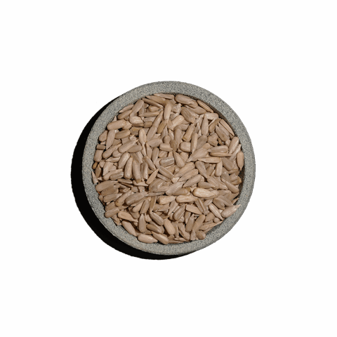 Ηλιόσπορος ψίχα Ελληνικός