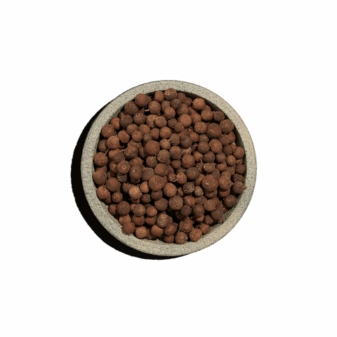 Μπαχάρι ολόκληρο 40γρ.