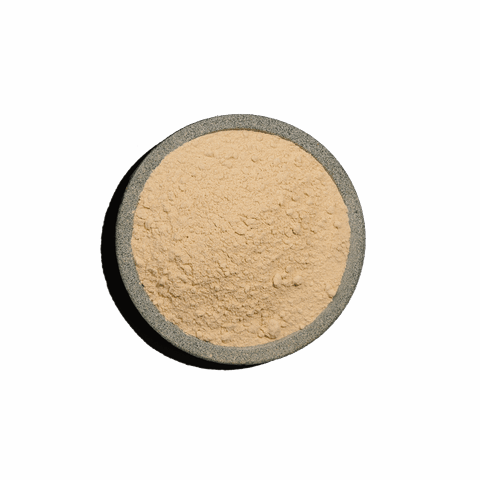 Γλουτένη σίτου