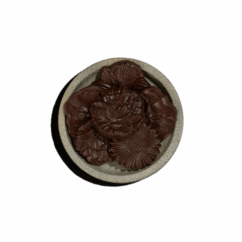 Μαργαρίτες υγείας