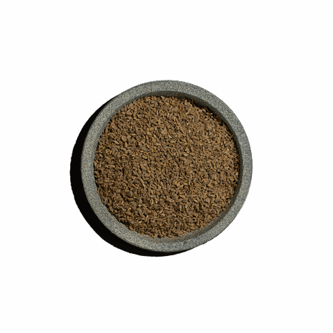 Γλυκάνισος ολόκληρος