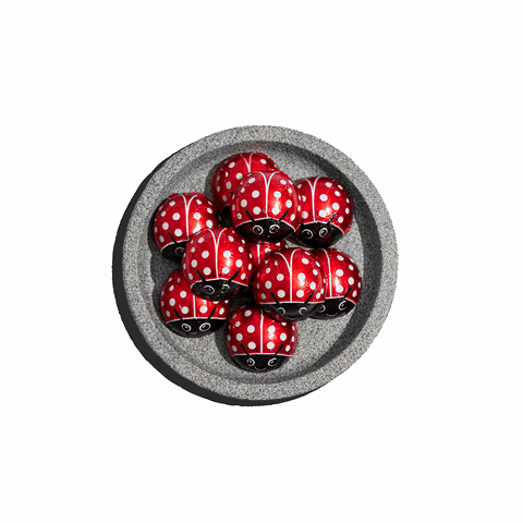 Πασχαλίτσα γάλακτος